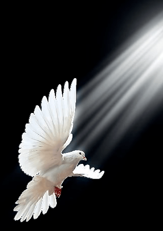 Screen Shot 2016-06-05 at 2.57.54 PM.png