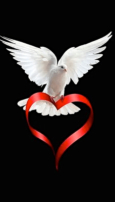 Screen Shot 2016-06-05 at 2.58.20 PM.png