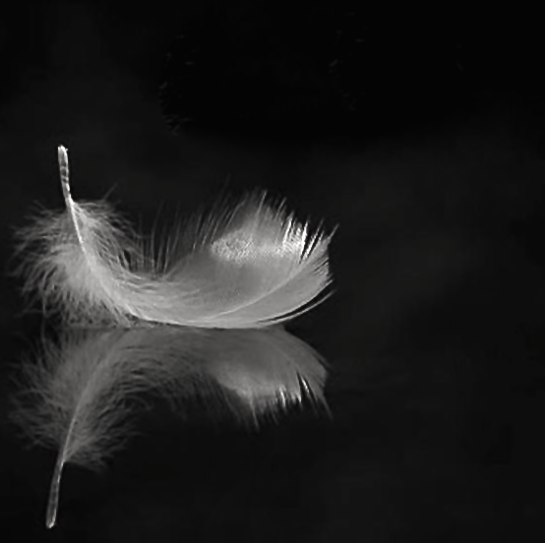 Screen Shot 2016-06-05 at 3.33.03 PM.png