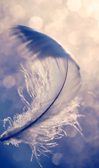 Screen Shot 2016-06-05 at 3.34.01 PM.png