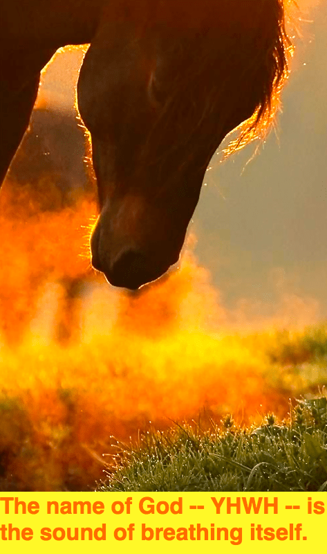 Screen Shot 2016-06-05 at 8.47.09 PM.png