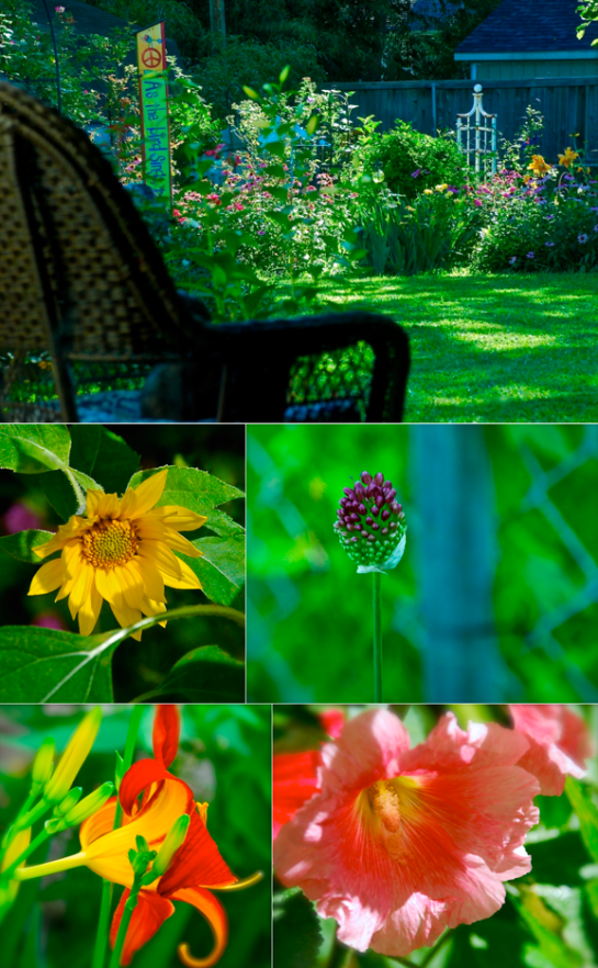 Screen Shot 2016-06-06 at 7.00.04 PM.png