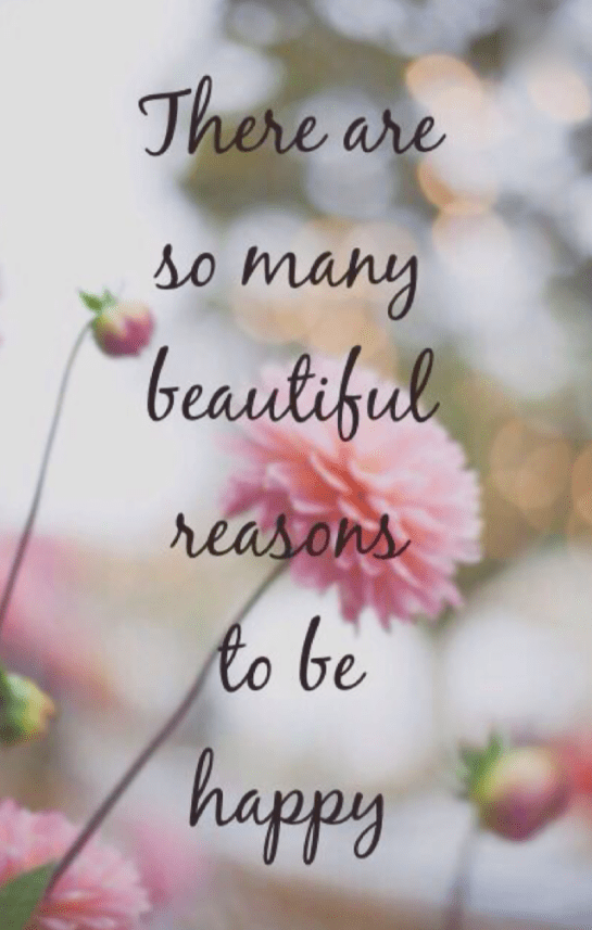 Screen Shot 2016-06-07 at 10.09.27 PM.png