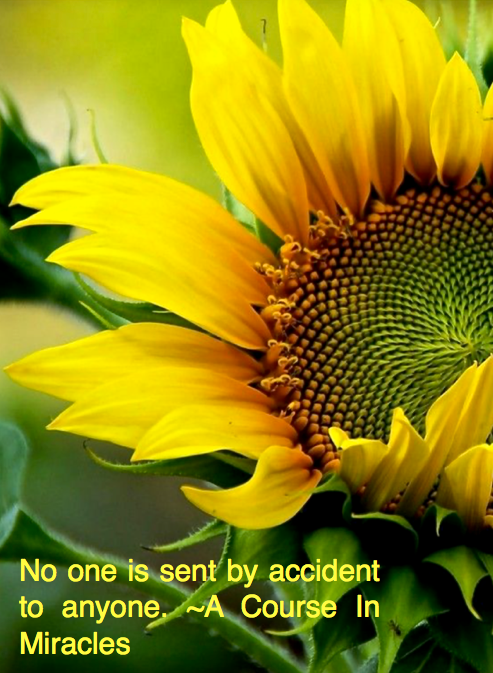 Screen Shot 2016-06-07 at 10.11.44 PM.png