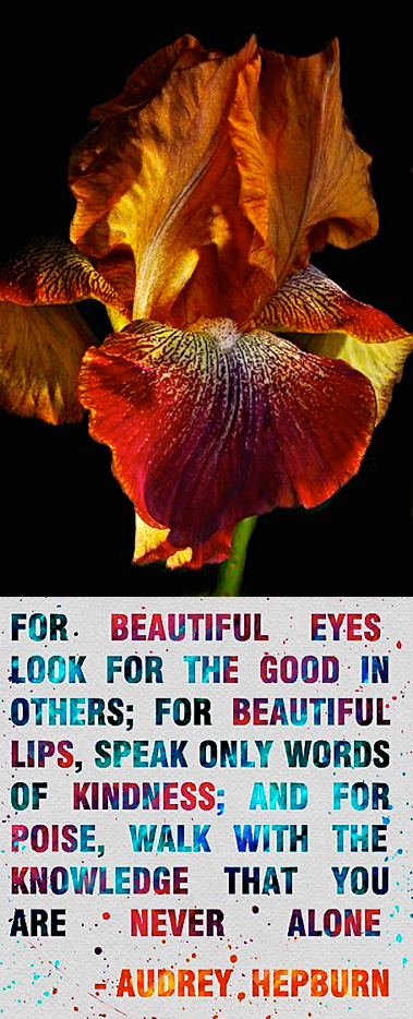 Screen Shot 2016-06-07 at 5.59.59 PM.png