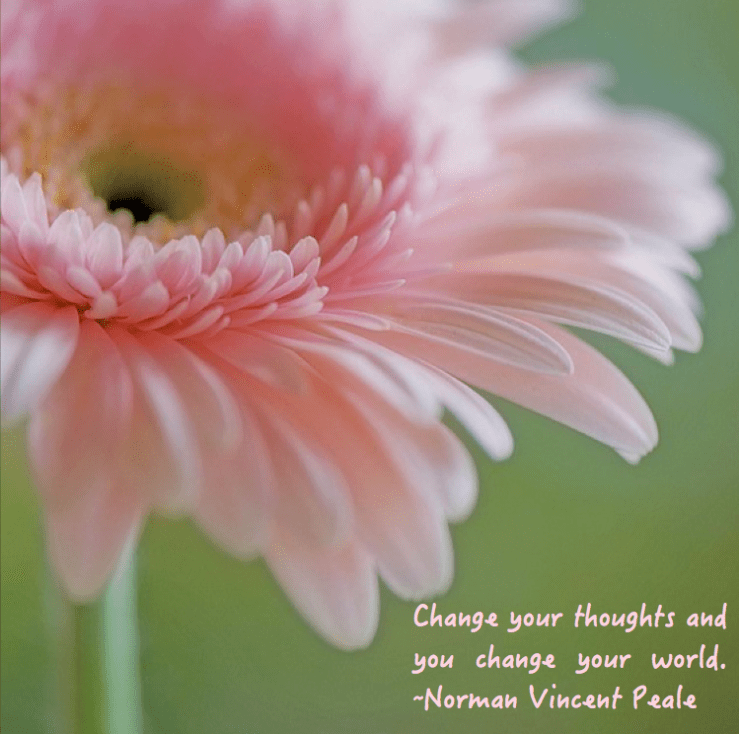 Screen Shot 2016-06-07 at 9.40.48 PM.png