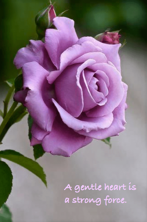 Screen Shot 2016-06-07 at 9.44.37 PM.png