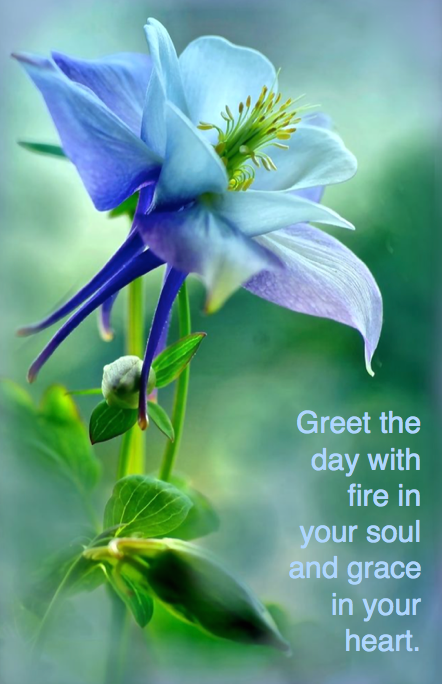 Screen Shot 2016-06-07 at 9.54.49 PM.png