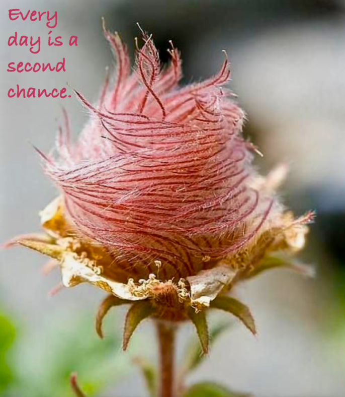 Screen Shot 2016-06-08 at 11.55.21 PM.png