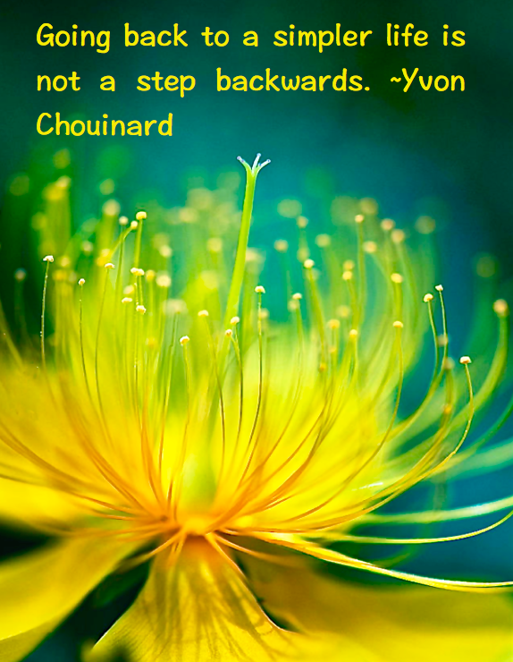 Screen Shot 2016-06-09 at 12.01.35 AM.png