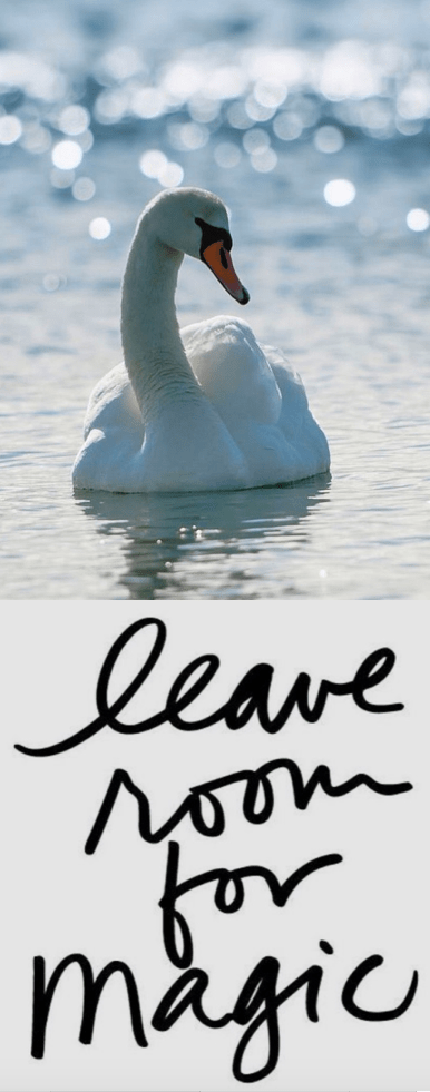 Screen Shot 2016-06-10 at 11.21.36 PM.png