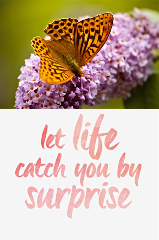 Screen Shot 2016-06-10 at 11.24.43 PM.png