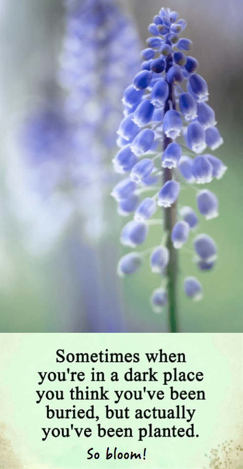 Screen Shot 2016-06-10 at 11.33.59 PM.png