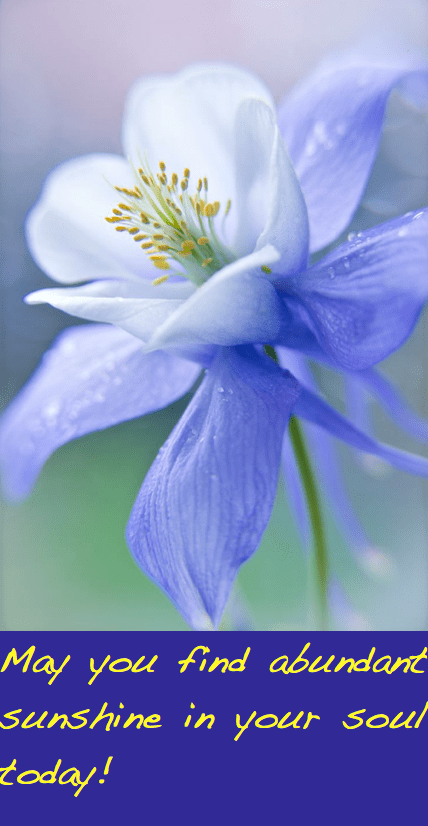 Screen Shot 2016-06-10 at 11.42.22 PM.png