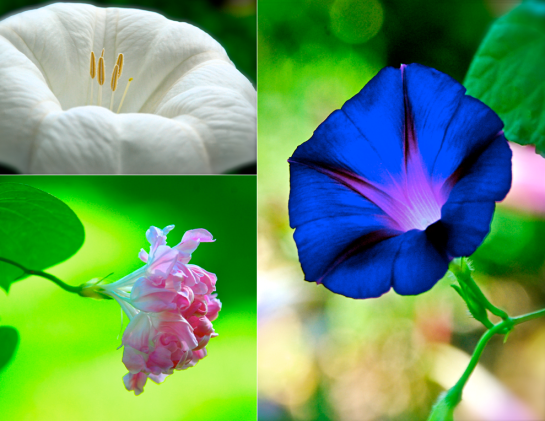 Screen Shot 2016-06-10 at 4.00.21 PM.png