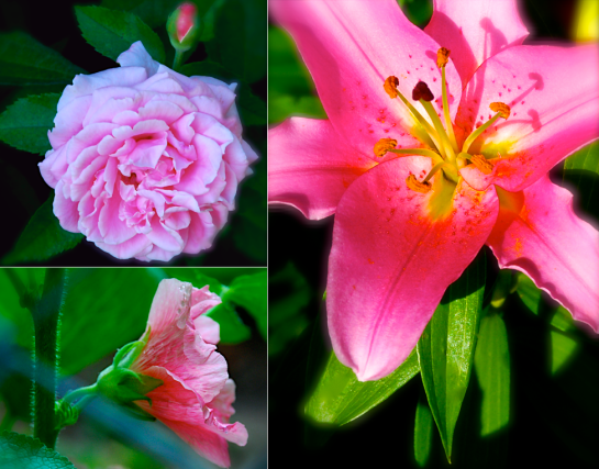 Screen Shot 2016-06-10 at 9.41.11 PM.png