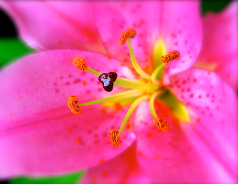 Screen Shot 2016-06-11 at 9.44.27 PM.png