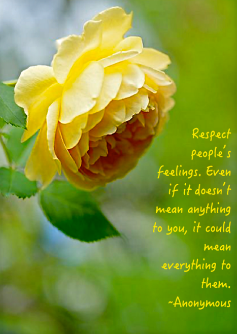 Screen Shot 2016-06-12 at 4.45.59 PM.png