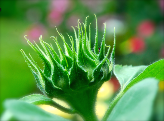 Screen Shot 2016-06-12 at 6.49.24 PM.png