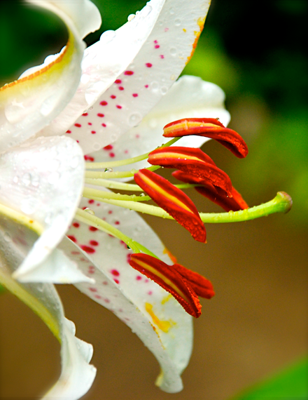 Screen Shot 2016-06-13 at 2.49.07 PM.png