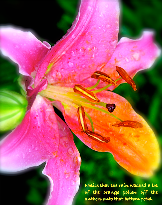 Screen Shot 2016-06-13 at 2.54.56 PM.png