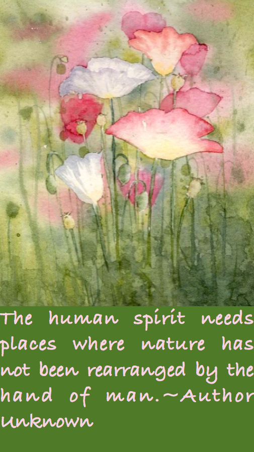 Screen Shot 2016-06-14 at 10.32.56 PM.png