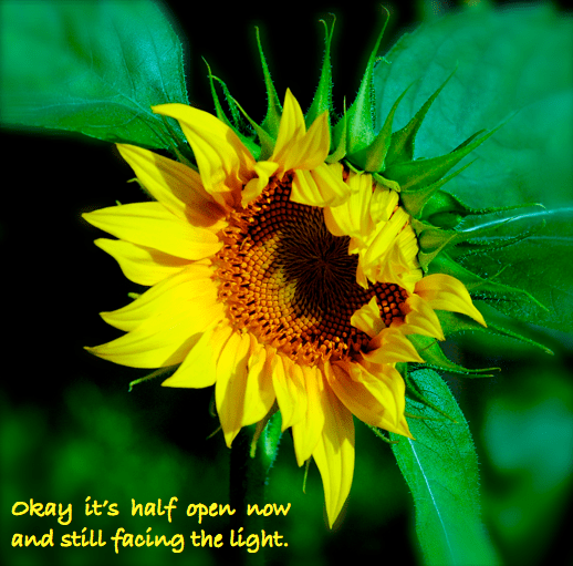 Screen Shot 2016-06-14 at 7.57.00 PM.png