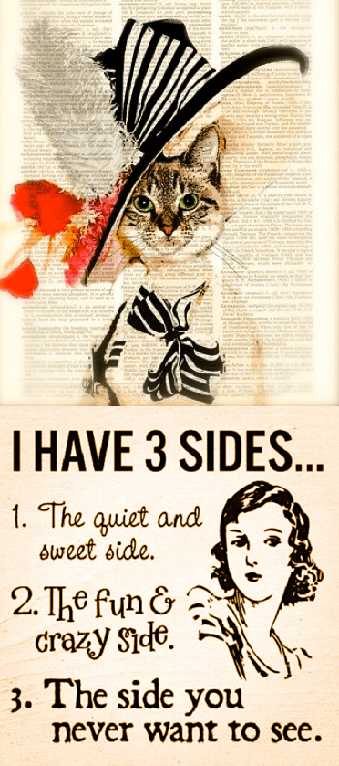 Screen Shot 2016-06-15 at 10.51.56 PM.png