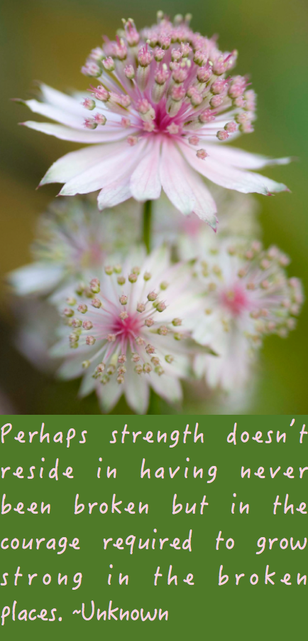 Screen Shot 2016-06-16 at 10.42.32 PM.png