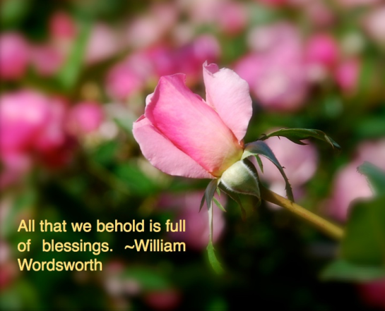 Screen Shot 2016-06-16 at 2.54.38 PM.png