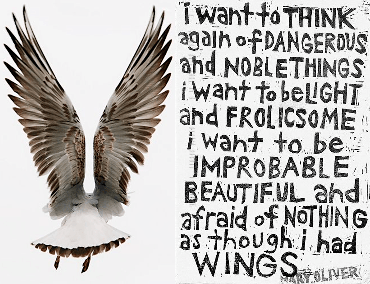 Screen Shot 2016-06-16 at 4.28.10 PM.png