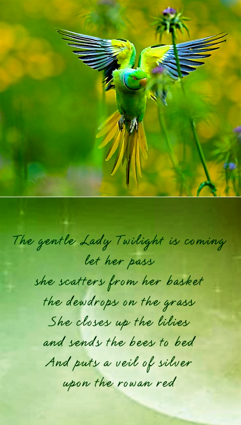 Screen Shot 2016-06-16 at 4.37.25 PM.png