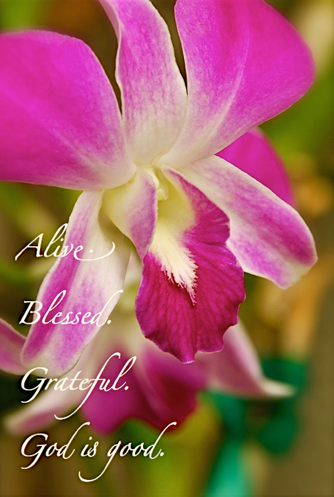 Screen Shot 2016-06-16 at 4.40.42 PM.png