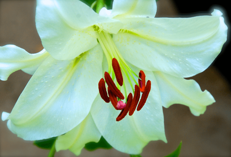 Screen Shot 2016-06-16 at 9.40.02 PM.png