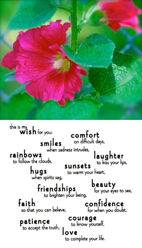 Screen Shot 2016-06-17 at 10.38.15 AM.png