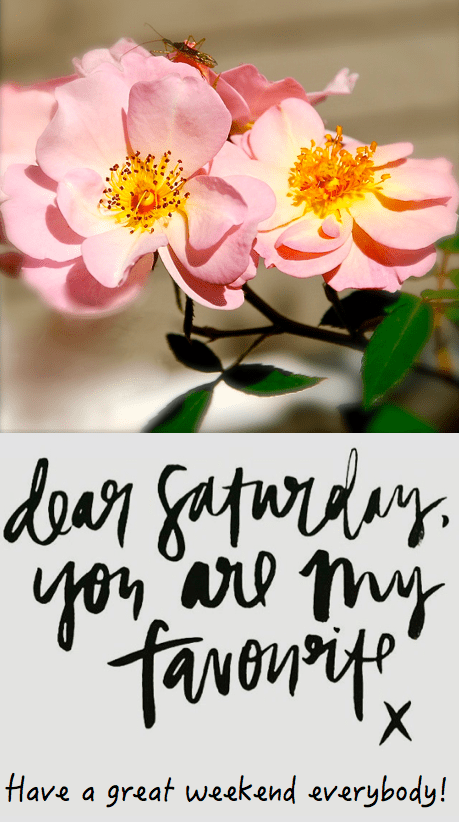 Screen Shot 2016-06-17 at 10.52.18 PM.png