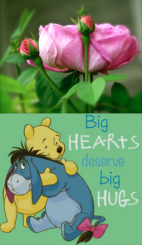 Screen Shot 2016-06-17 at 10.56.28 PM.png