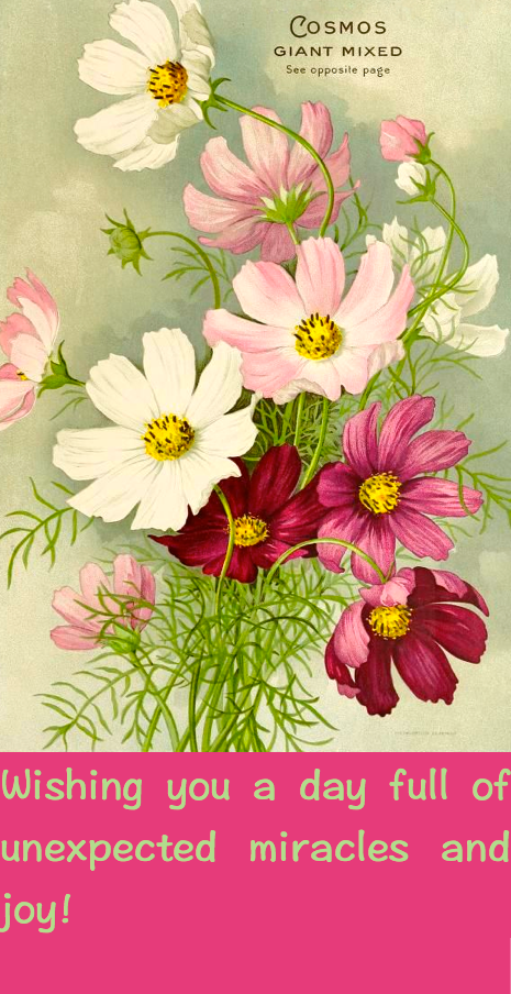 Screen Shot 2016-06-17 at 11.01.45 PM.png