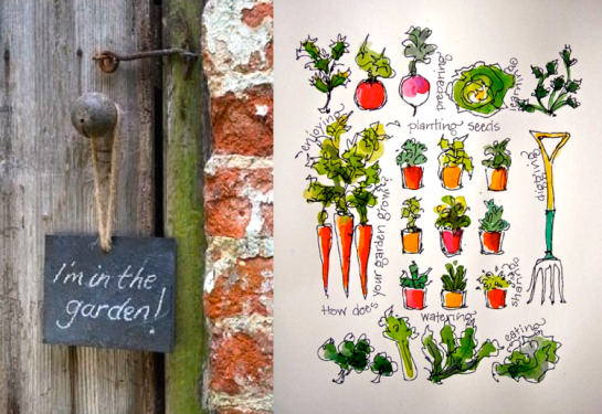 Screen Shot 2016-06-17 at 7.47.25 PM.png