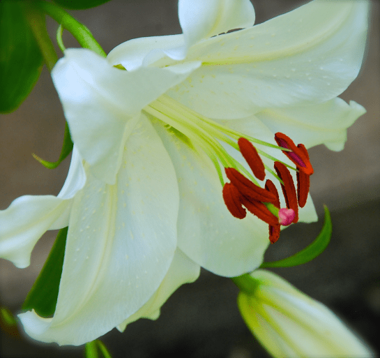 Screen Shot 2016-06-18 at 9.12.04 PM.png