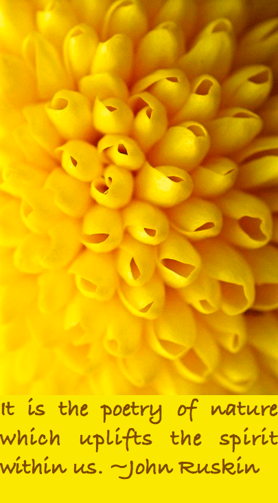 Screen Shot 2016-06-20 at 10.33.54 PM.png