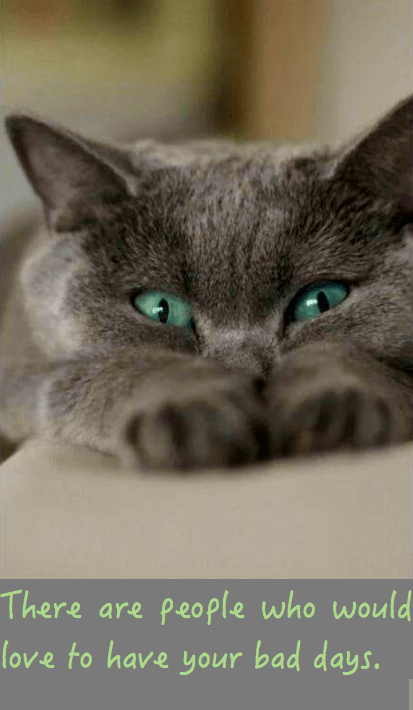 Screen Shot 2016-06-20 at 10.46.11 PM.png