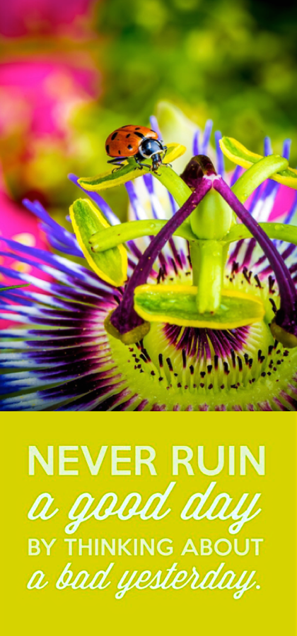 Screen Shot 2016-06-20 at 10.58.56 PM.png