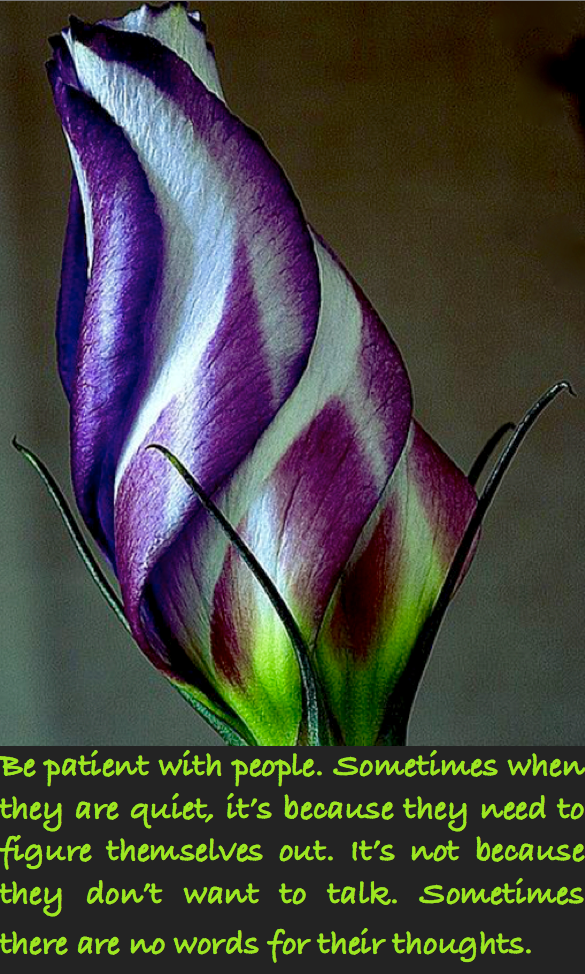 Screen Shot 2016-06-20 at 11.10.00 PM.png