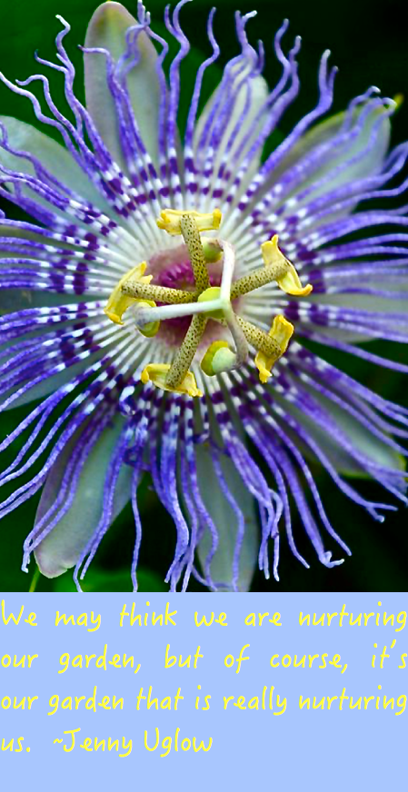 Screen Shot 2016-06-20 at 11.18.16 PM.png