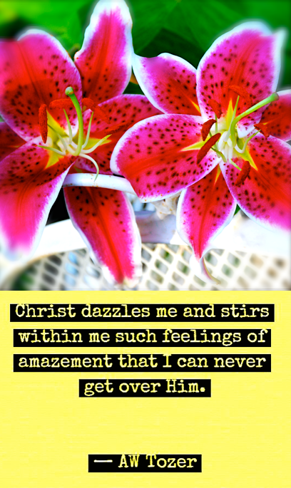 Screen Shot 2016-06-21 at 1.02.45 PM.png