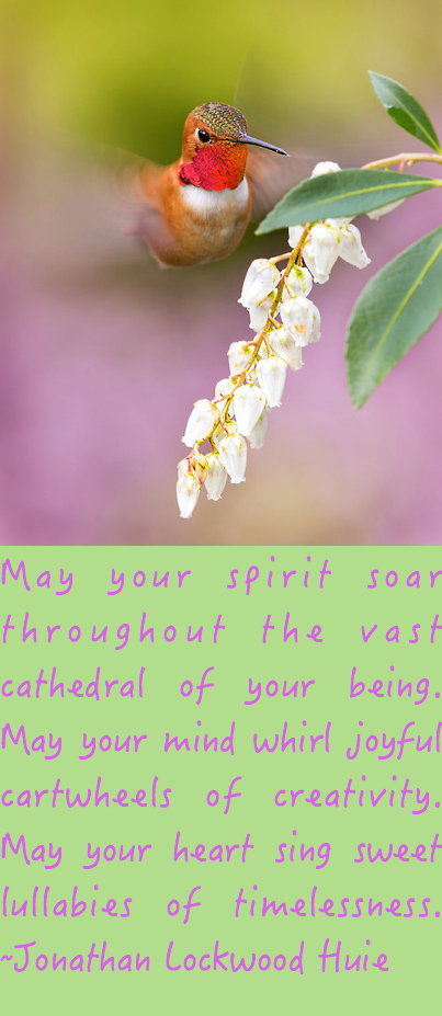 Screen Shot 2016-06-21 at 1.34.27 PM.png