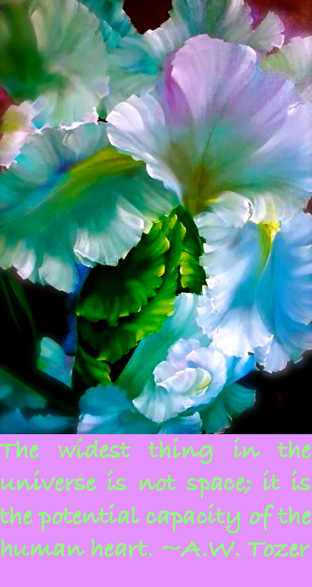 Screen Shot 2016-06-21 at 12.40.42 PM.png