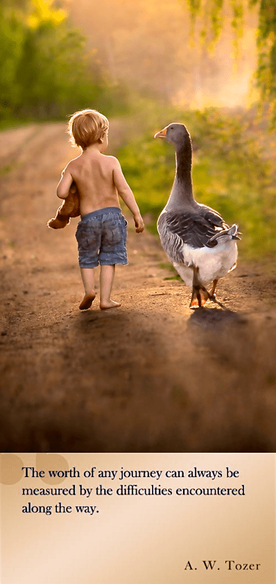 Screen Shot 2016-06-21 at 12.55.11 PM.png