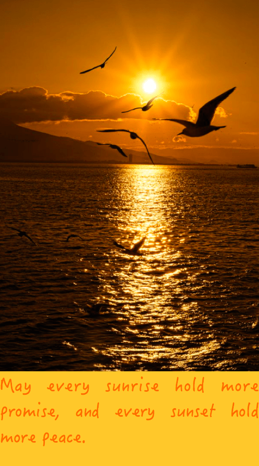 Screen Shot 2016-06-24 at 10.42.28 PM.png